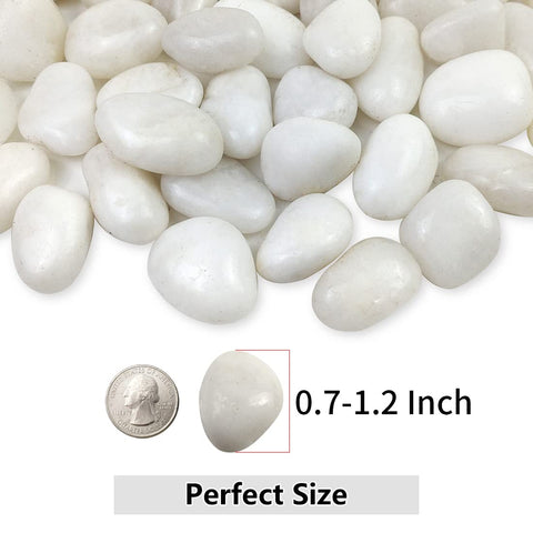 Polished White Pebbles - 0.7-1.2 Inch