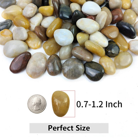 Polished Mixed Color Pebbles - 0.7-1.2 Inch